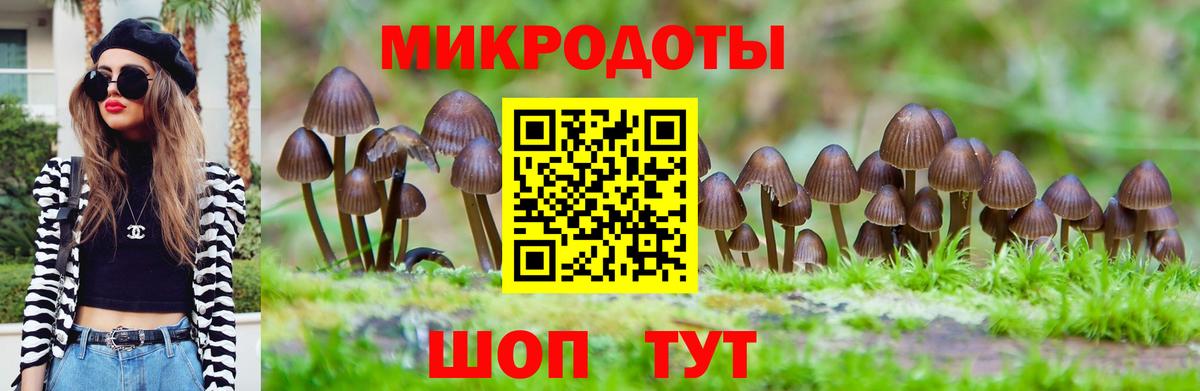 Псилоцибиновые грибы Psilocybine cubensis  Вход с VPN  Печора  Галлюциногенные грибы MAGIC MUSHROOMS 