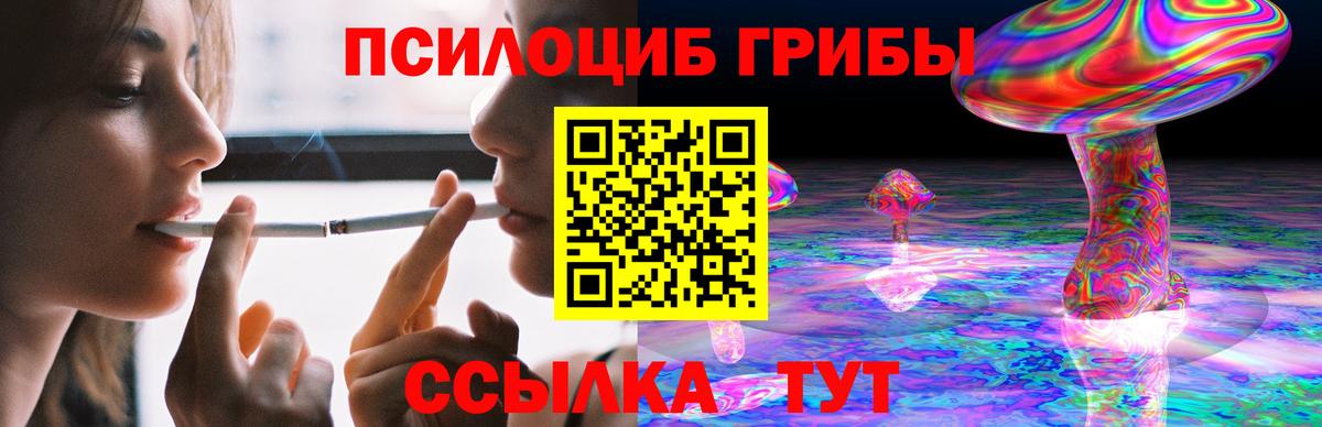 Псилоцибиновые грибы MAGIC MUSHROOMS Печора